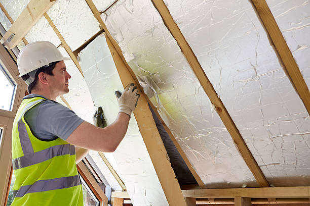 Professional Insulation Services in Campbellsburg, KY